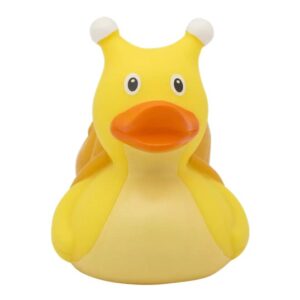 PATO CARACOL