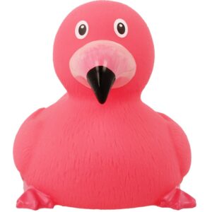 PATO FLAMENCO