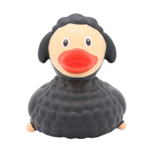 PATO OVEJA NEGRA