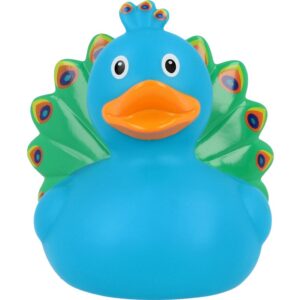 PATO PAVO REAL