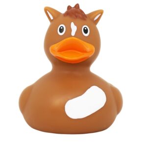 PATO PONI