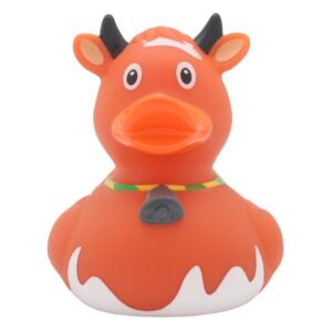 PATO VACA MARRÓN