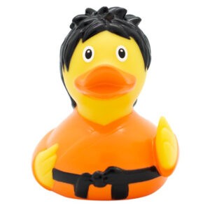PATO KUNG FU
